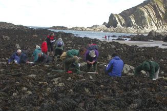 Coastal Creatures wins Heritage Lottery Fund support